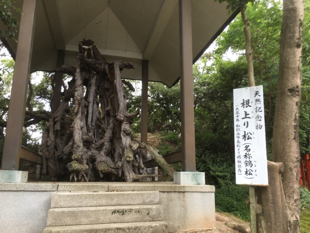 玉津島神社2